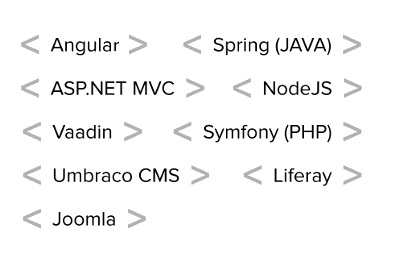 Expertise across major technologies